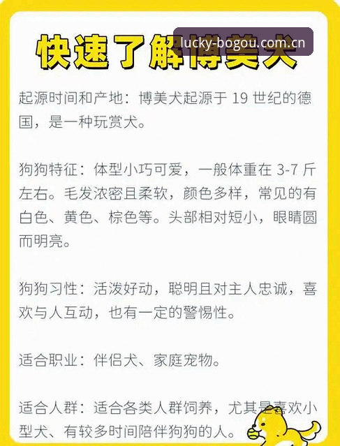 博狗官方入口深度评测：六大投注平台全面对比，老用户经验分享